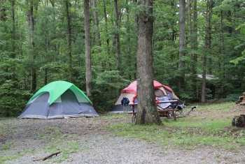 Rural Retreat Lake Park | Camping – Fishing – Recreation